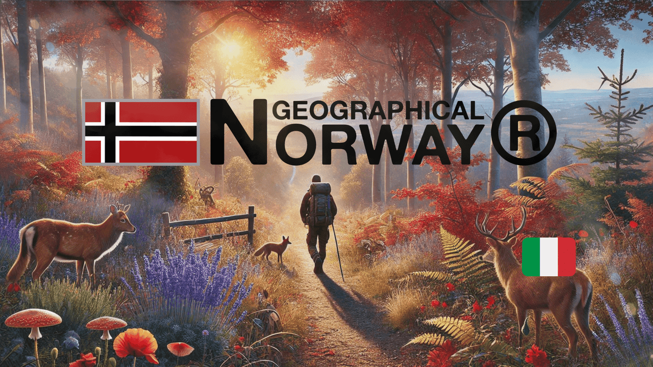 Guida di sopravvivenza al ritorno al lavoro😏 - Geographical Norway