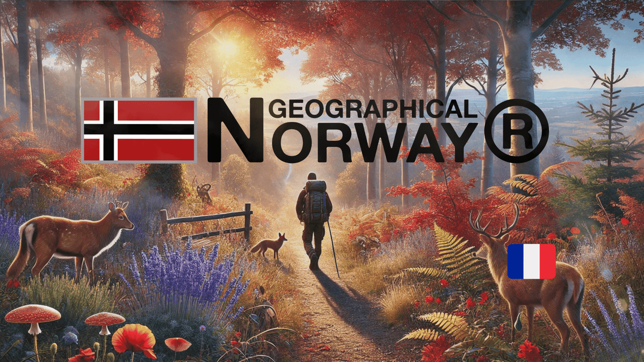 Guide de survie pour la rentré 😏 - Geographical Norway