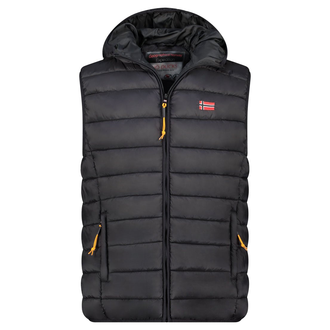 Geographical Norway VAMIGOLOR HOOD Homme Doudoune sans manches