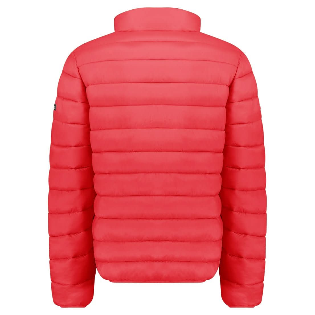 Geographical Norway Amigolor Basic Man - Giacca trapuntata - Geographical Norway AMIGOLOR_BASIC_MEN_NOIR_S_SDB-AMIGOLOR_BASIC_MEN_NOIR_M_SDB-AMIGOLOR_BASIC_MEN_NOIR_L_SDB-AMIGOLOR_BASIC_MEN_NOIR_XL_SDB-AMIGOLOR_BASIC_MEN_NOIR_XXL_SDB-AMIGOLOR_BASIC_MEN_NOIR_3XL_SDB-AMIGOLOR_BASIC_MEN_KAKI_SDB-AMIGOLOR_BASIC_MEN_KAKI_M_SDB-AMIGOLOR_BASIC_MEN_KAKI_L_SDB-AMIGOLOR_BASIC_MEN_KAKI_XL_SDB