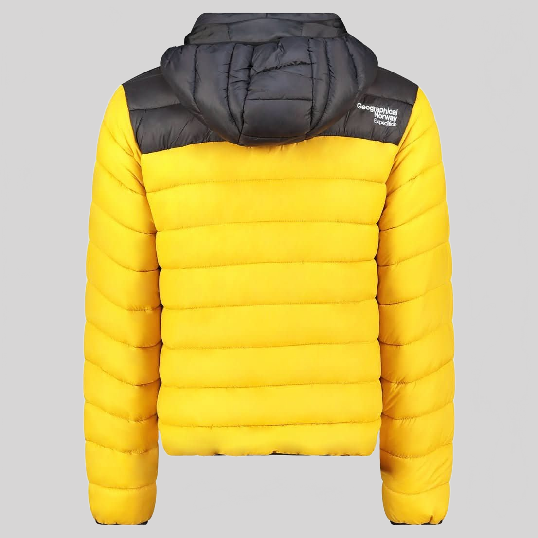 Geographical Norway AMIGOCLERC HOOD Homme - Blouson Matelassé avec Contraste - Geographical Norway AMIGOCLERC_MEN_HOOD_CAMEL_S_SDB-AMIGOCLERC_MEN_HOOD_CAMEL_M_SDB-AMIGOCLERC_MEN_HOOD_CAMEL_L_SDB-AMIGOCLERC_MEN_HOOD_CAMEL_XL_SDB-AMIGOCLERC_MEN_HOOD_CAMEL_XXL_SDB-AMIGOCLERC_MEN_HOOD_CAMEL_3XL_SDB-AMIGOCLERC_MEN_HOOD_JEAN_S_SDB-AMIGOCLERC_MEN_HOOD_JEAN_M_SDB-AMIGOCLERC_MEN_HOOD_JEAN_L_SDB-AMIGOCLERC_MEN_HOOD_JEAN_XL_SDB